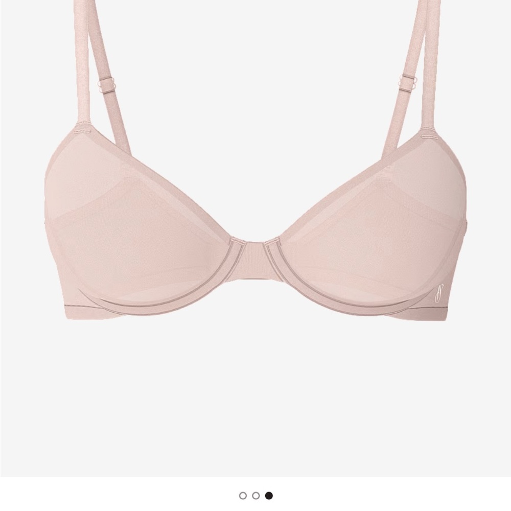 PINK Victoria's Secret Light Blush Mesh Underwire Bra